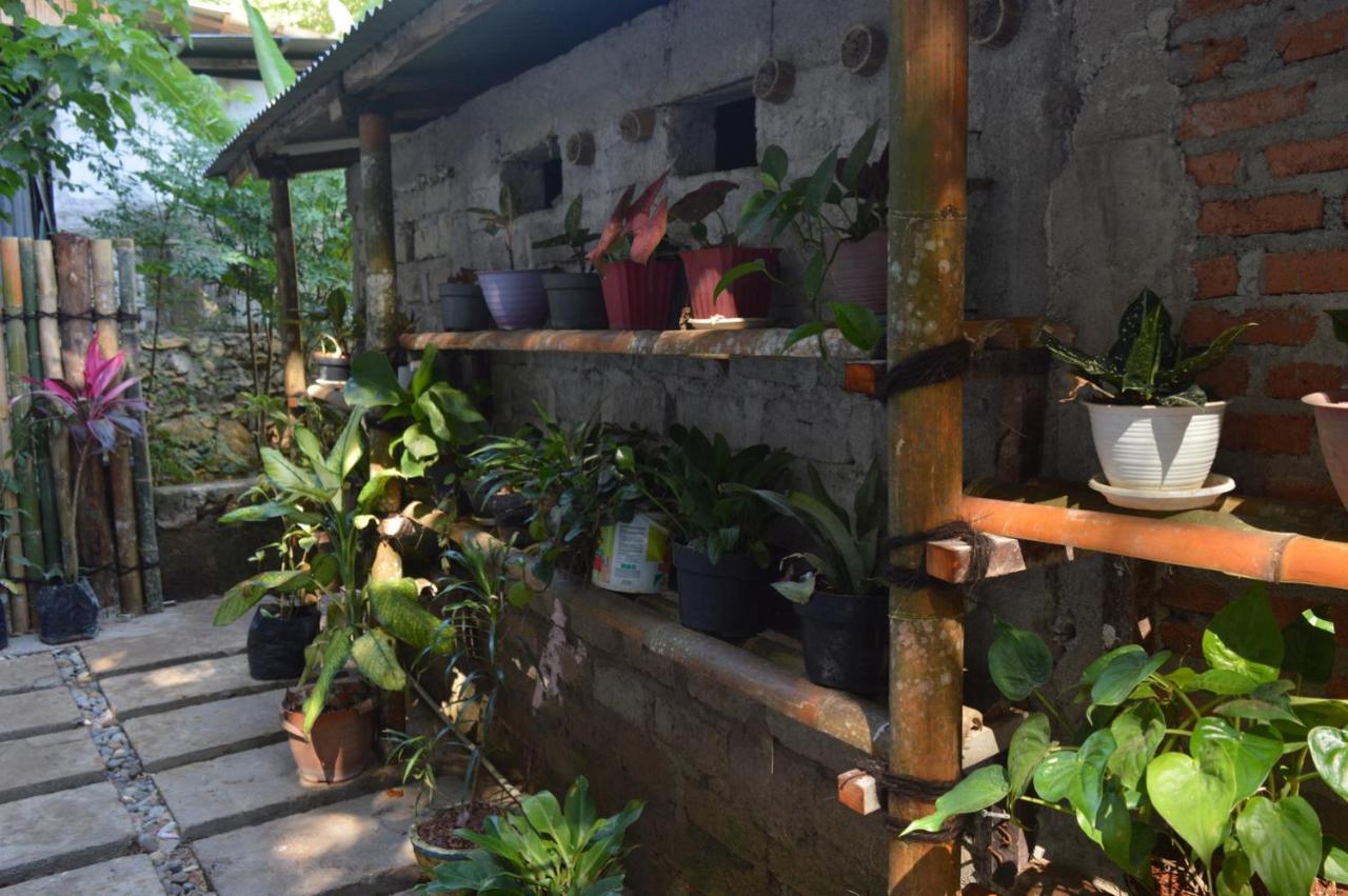 Labuan Bajo Mahoni Guesthouse Extérieur photo